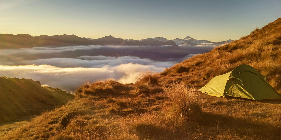 What does it mean to live wild?